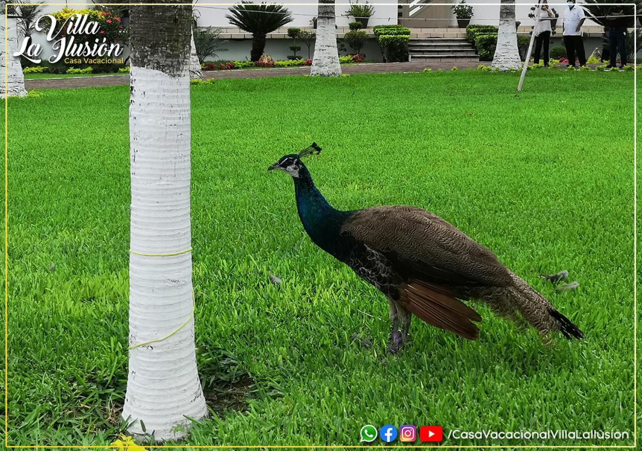 Villa La Ilusion Casa Vacacional Tecolutla Bagian luar foto